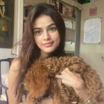 Sonyaa Ayodhya Instagram - You glow differently when you are loved well .. ✨ fluff @sonyakabetacharles eyelash partner @flibbertigibbetbeautty #dogs #ig #love #photos #memories #likes #mood #browns