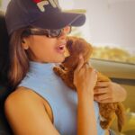 Sonyaa Ayodhya Instagram - Say hello to my first born ‘Charles’ 🐶 he looks exactly like me.No!!?🐻@sonyakabetacharles #dogmum #dogs #babies #dogbaby #puppies