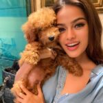 Sonyaa Ayodhya Instagram – Big Dog Energy 🤣 🐶 @sonyakabetacharles #BDE #love #dogs #happiness #dogmum