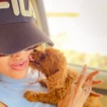 Sonyaa Ayodhya Instagram - Say hello to my first born ‘Charles’ 🐶 he looks exactly like me.No!!?🐻@sonyakabetacharles #dogmum #dogs #babies #dogbaby #puppies