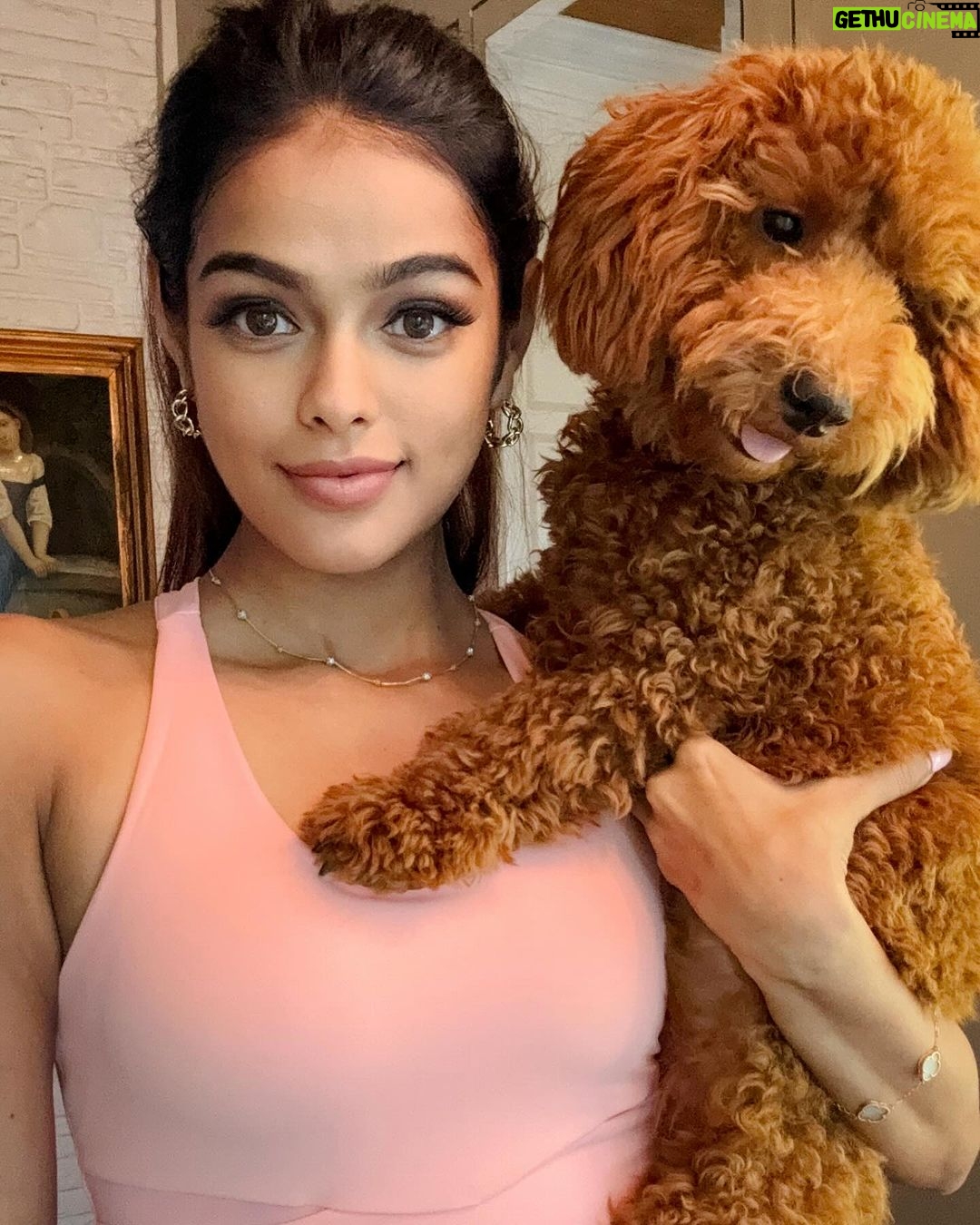 Sonyaa Ayodhya Instagram - Baby mama 🐾 Sports bra @strch.in code : Sonya15 flat 15% off Lashes @flibbertigibbetbeautty code : Diwali for a flat 30% off . . Use code ‘Diwali’ and get flat 30% off on @flibbertigibbetbeautty eyelashes!!!!! (Offer valid for a limited period) #eyelashes #diwalisale #mood #puppylove