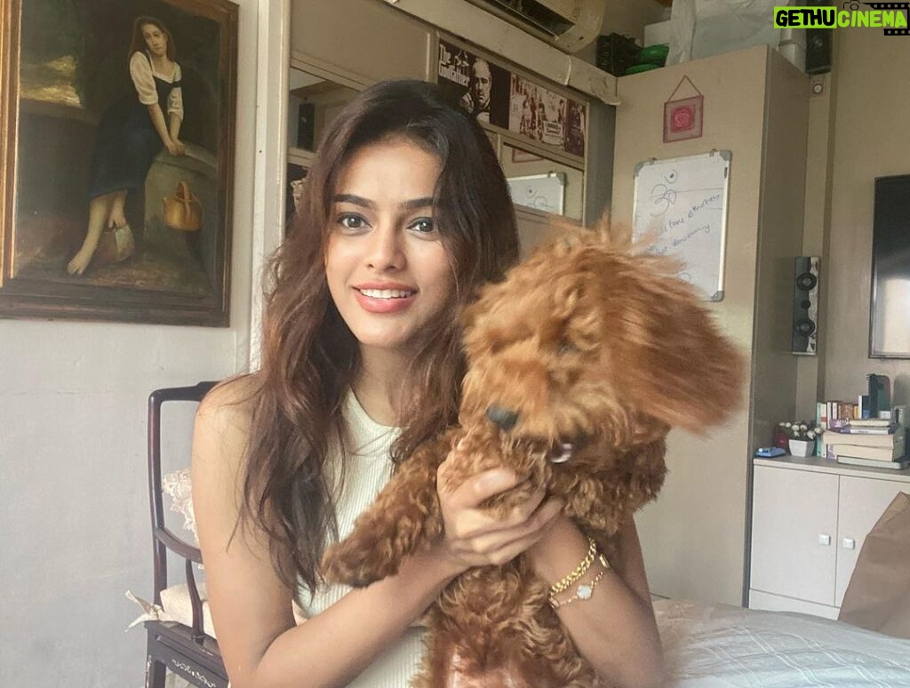 Sonyaa Ayodhya Instagram - You glow differently when you are loved well .. ✨ fluff @sonyakabetacharles eyelash partner @flibbertigibbetbeautty #dogs #ig #love #photos #memories #likes #mood #browns