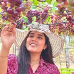 Sree Nithi Instagram – Vineyard !! 🍇🍇 Theni