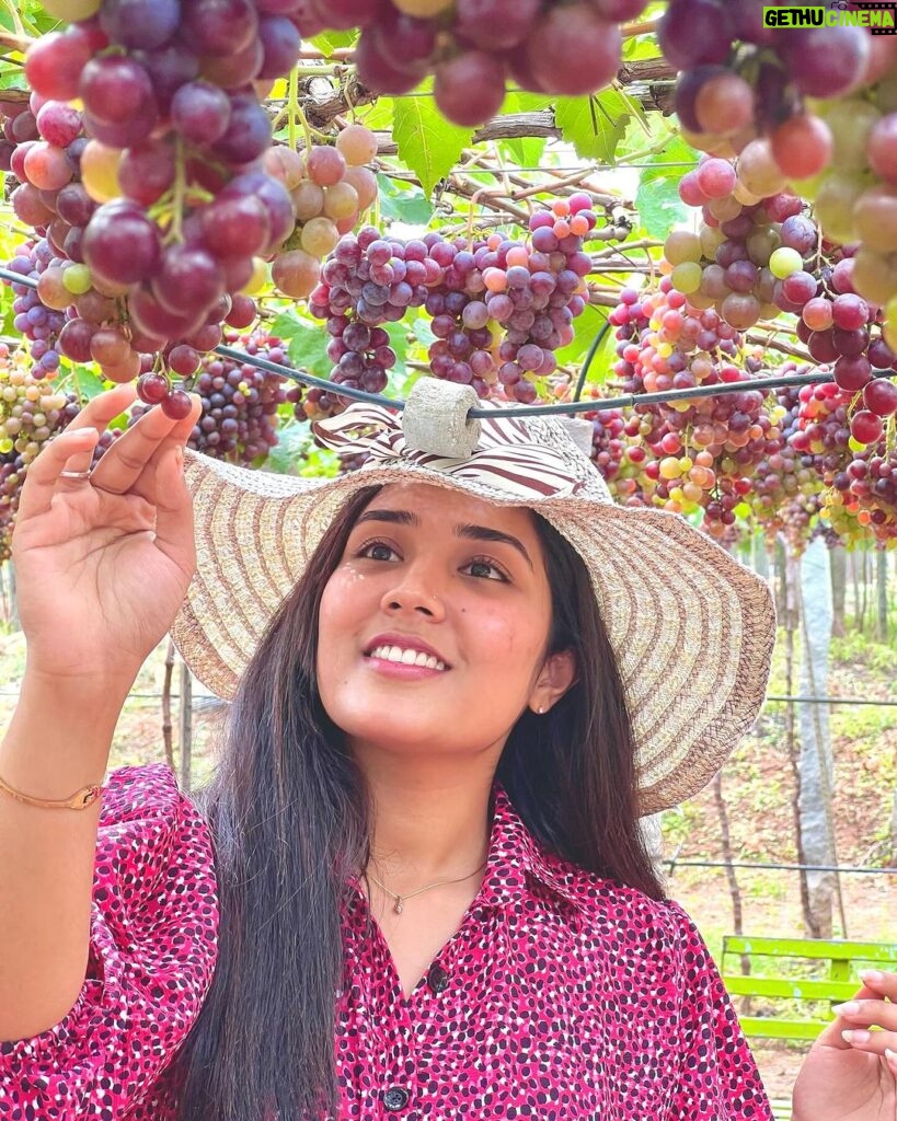 Sree Nithi Instagram - Vineyard !! 🍇🍇 Theni