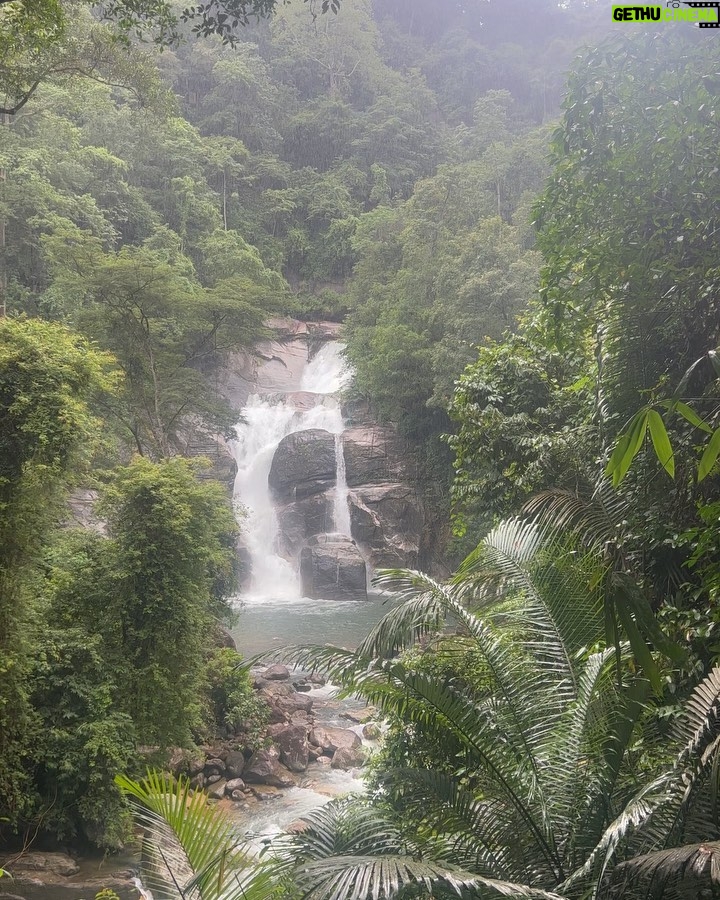 Sree Nithi Instagram - 📍Kallar meenmutty waterfall🌿 Meenmutty Waterfalls, Trivandrum