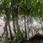 Sree Nithi Instagram – 📍Kallar meenmutty waterfall🌿 Meenmutty Waterfalls, Trivandrum