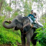 Sree Nithi Instagram - 🐘🌿 Munnar, Kerala, India.