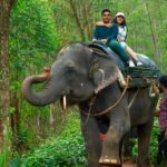 Sree Nithi Instagram - 🐘🍃 Munnar, Kerala, India.