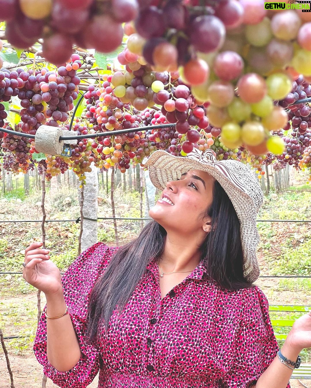 Sree Nithi Instagram - Vineyard !! 🍇🍇 Theni