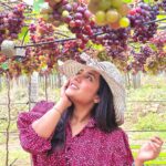 Sree Nithi Instagram - Vineyard !! 🍇🍇 Theni