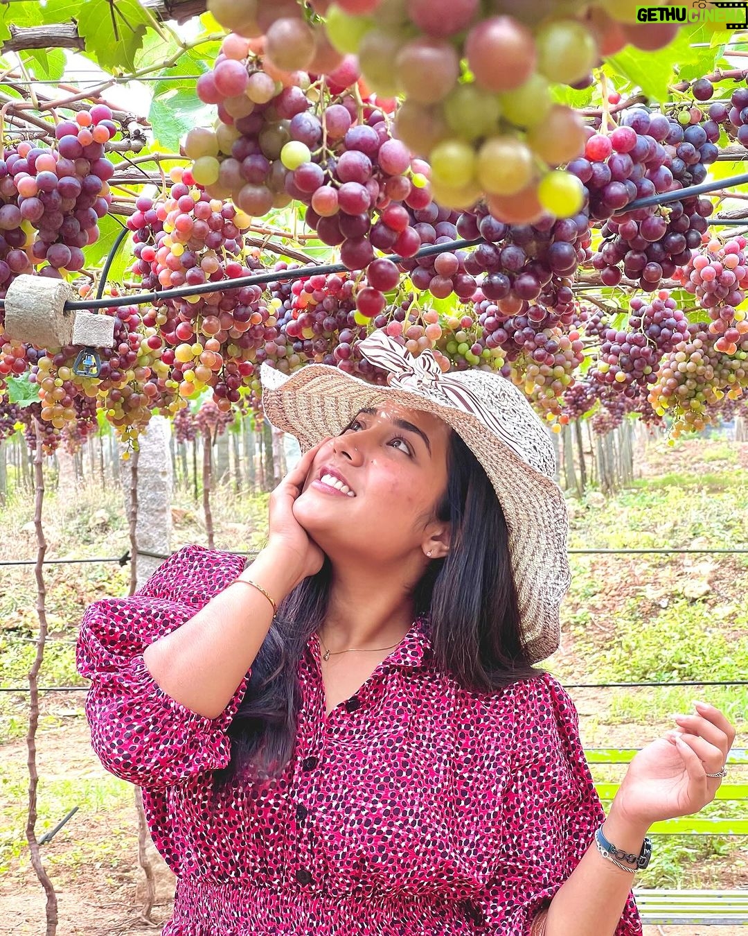 Sree Nithi Instagram - Vineyard !! 🍇🍇 Theni