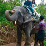 Sree Nithi Instagram - 🐘🫶🏻 Munnar, Kerala, India.
