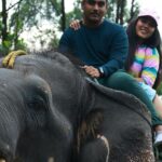 Sree Nithi Instagram - 🐘🫶🏻 Munnar, Kerala, India.