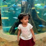 Sridevi Ashok Instagram - All about yesterday- Day outing @ashok_chintala @sameer_starboy @sitara_chintala VGP Marine Kingdom
