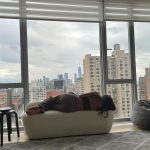 Suhana Khan Instagram – ☁️ New York, New York