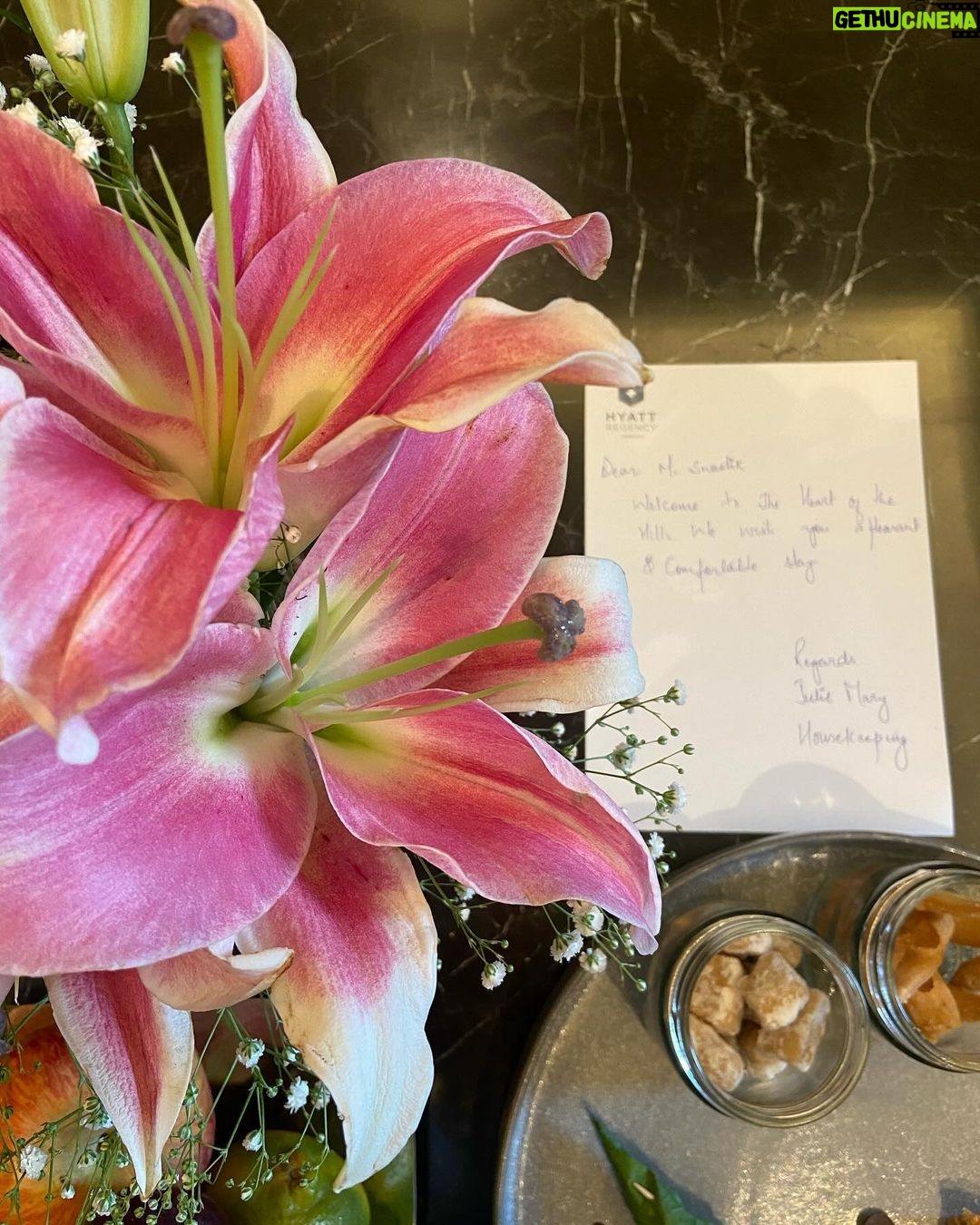 Swastika Mukherjee Instagram - thank you @dehradunliteraturefestival and @hyattregencydehradun for such a lovely stay 🌸🌸 Love. Hyatt Regency Dehradun