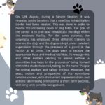 Swastika Mukherjee Instagram – Hello! 
7 dogs have been held captive inside Shiv Nadar University for the past 1.5months for reason as stupid as barking, overturning dustbins, entering classrooms. The students have begged and pleaded the university to let them go but they have refused. This is an investigation into the illegal capture of the University dogs. Please share this on your stories and ask people to tag PFA . These 7 lives depend on us 🙏
@pfa.official @doggsofsnu 

Via @campuscaravan 
An investigation into the recent construction of a “Dog Rehabilitation Center” within the Shiv Nadar University, Greater Noida campus has led to the rise of certain concerns and questions from students, especially those from Dogs of SNU. This piece looks into these concerns and highlights possible solutions for the same.