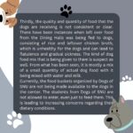 Swastika Mukherjee Instagram – Hello! 
7 dogs have been held captive inside Shiv Nadar University for the past 1.5months for reason as stupid as barking, overturning dustbins, entering classrooms. The students have begged and pleaded the university to let them go but they have refused. This is an investigation into the illegal capture of the University dogs. Please share this on your stories and ask people to tag PFA . These 7 lives depend on us 🙏
@pfa.official @doggsofsnu 

Via @campuscaravan 
An investigation into the recent construction of a “Dog Rehabilitation Center” within the Shiv Nadar University, Greater Noida campus has led to the rise of certain concerns and questions from students, especially those from Dogs of SNU. This piece looks into these concerns and highlights possible solutions for the same.