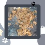 Swastika Mukherjee Instagram – Hello! 
7 dogs have been held captive inside Shiv Nadar University for the past 1.5months for reason as stupid as barking, overturning dustbins, entering classrooms. The students have begged and pleaded the university to let them go but they have refused. This is an investigation into the illegal capture of the University dogs. Please share this on your stories and ask people to tag PFA . These 7 lives depend on us 🙏
@pfa.official @doggsofsnu 

Via @campuscaravan 
An investigation into the recent construction of a “Dog Rehabilitation Center” within the Shiv Nadar University, Greater Noida campus has led to the rise of certain concerns and questions from students, especially those from Dogs of SNU. This piece looks into these concerns and highlights possible solutions for the same.