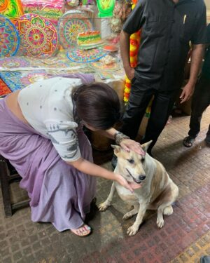 Swastika Mukherjee Instagram - Met these 2 loveliest souls while shooting at Kasba Bajaar. 
First one is BHOLA, kheye kheye motu hoye geche and is extremely loved by the people there. 
The second one is ADURI. Jotokhon chhilam gaye uthe chete ador kore gelo. 
They always have so much love to give 💕
One just needs to pat them a little bit. 
And I have done some teeth inspections as well. They are healthy and hearty.