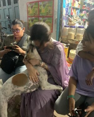 Swastika Mukherjee Instagram - Met these 2 loveliest souls while shooting at Kasba Bajaar. 
First one is BHOLA, kheye kheye motu hoye geche and is extremely loved by the people there. 
The second one is ADURI. Jotokhon chhilam gaye uthe chete ador kore gelo. 
They always have so much love to give 💕
One just needs to pat them a little bit. 
And I have done some teeth inspections as well. They are healthy and hearty.