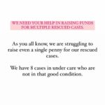 Swastika Mukherjee Instagram – Please Help us.
We need you. Please help us.
PAYTM/GPAY – 9868360385
Bank Account Details
Name – Dulaar Amanat Foundation
Account No. – 101888700000055
IFSC – YESB0001018
Your one share can literally help us a lot. Please 🙏🏻 Dwarka, Delhi