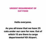 Swastika Mukherjee Instagram - Please help us with cat food. We have 25 cats under our care whom we feed daily and with ongoing activities it’s getting impossible for me to buy food and i cannot let them stay hungry. I need your help in buying dry as well as gravy food for them. You can even send the food directly to our address but please try to help us 🙏🏻 We need 30 kg of dry food (whiskas) and gravy food pouches for them 🙏🏻 Kindly come forward and help us. You can even send the food to us directly or can send any monetary help that you are ok with and you can even share this appeal so that more and more people can see and help us 🙏🏻 We need your help PAYTM/GPAY - 9868360385 Bank Account Details Name - Dulaar Amanat Foundation Account No. - 101888700000055 IFSC - YESB0001018 Delhi, India