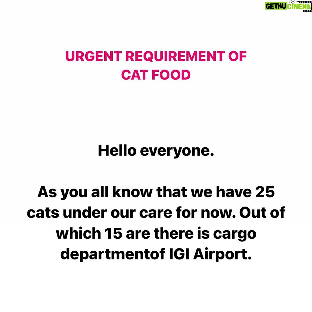 Swastika Mukherjee Instagram - Please help us with cat food. We have 25 cats under our care whom we feed daily and with ongoing activities itβs getting impossible for me to buy food and i cannot let them stay hungry. I need your help in buying dry as well as gravy food for them. You can even send the food directly to our address but please try to help us ππ» We need 30 kg of dry food (whiskas) and gravy food pouches for them ππ» Kindly come forward and help us. You can even send the food to us directly or can send any monetary help that you are ok with and you can even share this appeal so that more and more people can see and help us ππ» We need your help PAYTM/GPAY - 9868360385 Bank Account Details Name - Dulaar Amanat Foundation Account No. - 101888700000055 IFSC - YESB0001018 Delhi, India