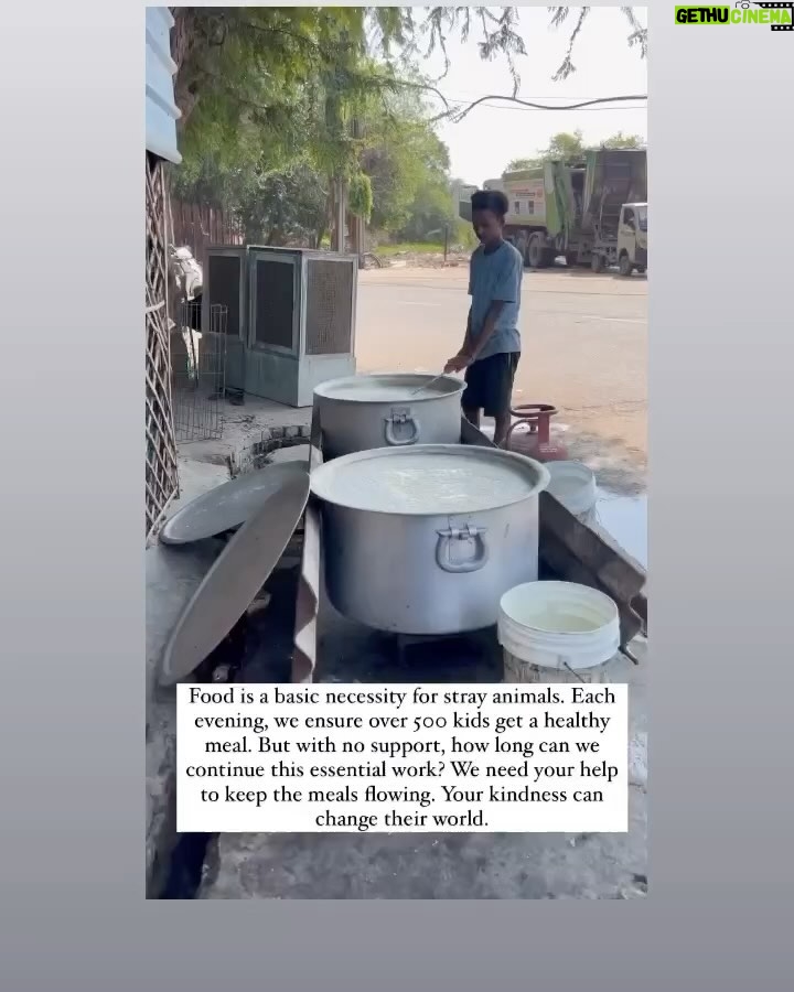 Swastika Mukherjee Instagram - Please help @love_shade_for_animals clear their Debt & Feed Hungry Tummies 🍲💔 To donate: PAYTM/GPAY/PHONEPE -6386674176 OR PAYPAL ID - loveshadeforanimals@gmail.com ( link mentioned in bio) OR ACCOUNT DETAILS Name - LOVE SHADE FOR ANIMALS FOUNDATION BANK:- HDFC BANK LTD A/C:-50200073938409 TYPE: CURRENT ACCOUNT IFSC CODE:- HDFC0004294 BRANCH:-KUNDA PRATAPGARH