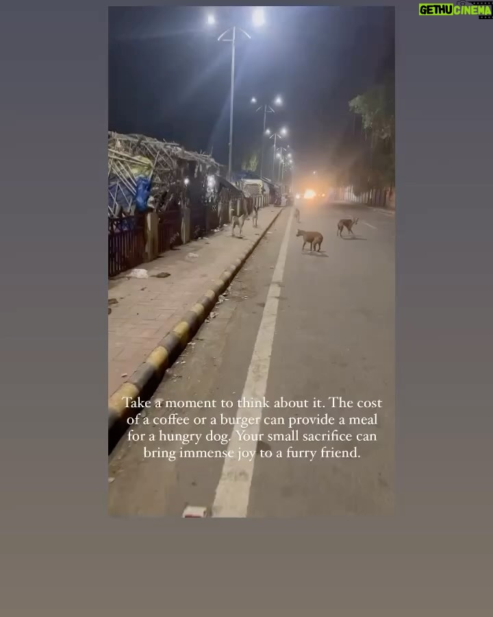 Swastika Mukherjee Instagram - Please help @love_shade_for_animals clear their Debt & Feed Hungry Tummies 🍲💔 To donate: PAYTM/GPAY/PHONEPE -6386674176 OR PAYPAL ID - loveshadeforanimals@gmail.com ( link mentioned in bio) OR ACCOUNT DETAILS Name - LOVE SHADE FOR ANIMALS FOUNDATION BANK:- HDFC BANK LTD A/C:-50200073938409 TYPE: CURRENT ACCOUNT IFSC CODE:- HDFC0004294 BRANCH:-KUNDA PRATAPGARH