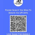 Swastika Mukherjee Instagram - Please help @love_shade_for_animals clear their Debt & Feed Hungry Tummies 🍲💔 To donate: PAYTM/GPAY/PHONEPE -6386674176 OR PAYPAL ID - loveshadeforanimals@gmail.com ( link mentioned in bio) OR ACCOUNT DETAILS Name - LOVE SHADE FOR ANIMALS FOUNDATION BANK:- HDFC BANK LTD A/C:-50200073938409 TYPE: CURRENT ACCOUNT IFSC CODE:- HDFC0004294 BRANCH:-KUNDA PRATAPGARH