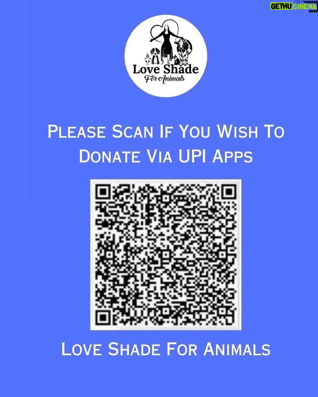 Swastika Mukherjee Instagram - Please help @love_shade_for_animals clear their Debt & Feed Hungry Tummies 🍲💔 To donate: PAYTM/GPAY/PHONEPE -6386674176 OR PAYPAL ID - loveshadeforanimals@gmail.com ( link mentioned in bio) OR ACCOUNT DETAILS Name - LOVE SHADE FOR ANIMALS FOUNDATION BANK:- HDFC BANK LTD A/C:-50200073938409 TYPE: CURRENT ACCOUNT IFSC CODE:- HDFC0004294 BRANCH:-KUNDA PRATAPGARH
