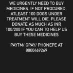 Swastika Mukherjee Instagram – URGENT HELP REQUIRED 🆘🆘

Via @earthlings_trust PLEASE HELP AND DONATE 🆘‼️
EXTREMELY URGENT. 

Following are the details:

1- A/c holder- Earthlings Trust
A/c- 027888700000209
ifsc code- YESB0000278
Current account

2- Paytm/PhonePe/Gpay- 8800469269

3- Paypal- earthlingstrust@gmail.com