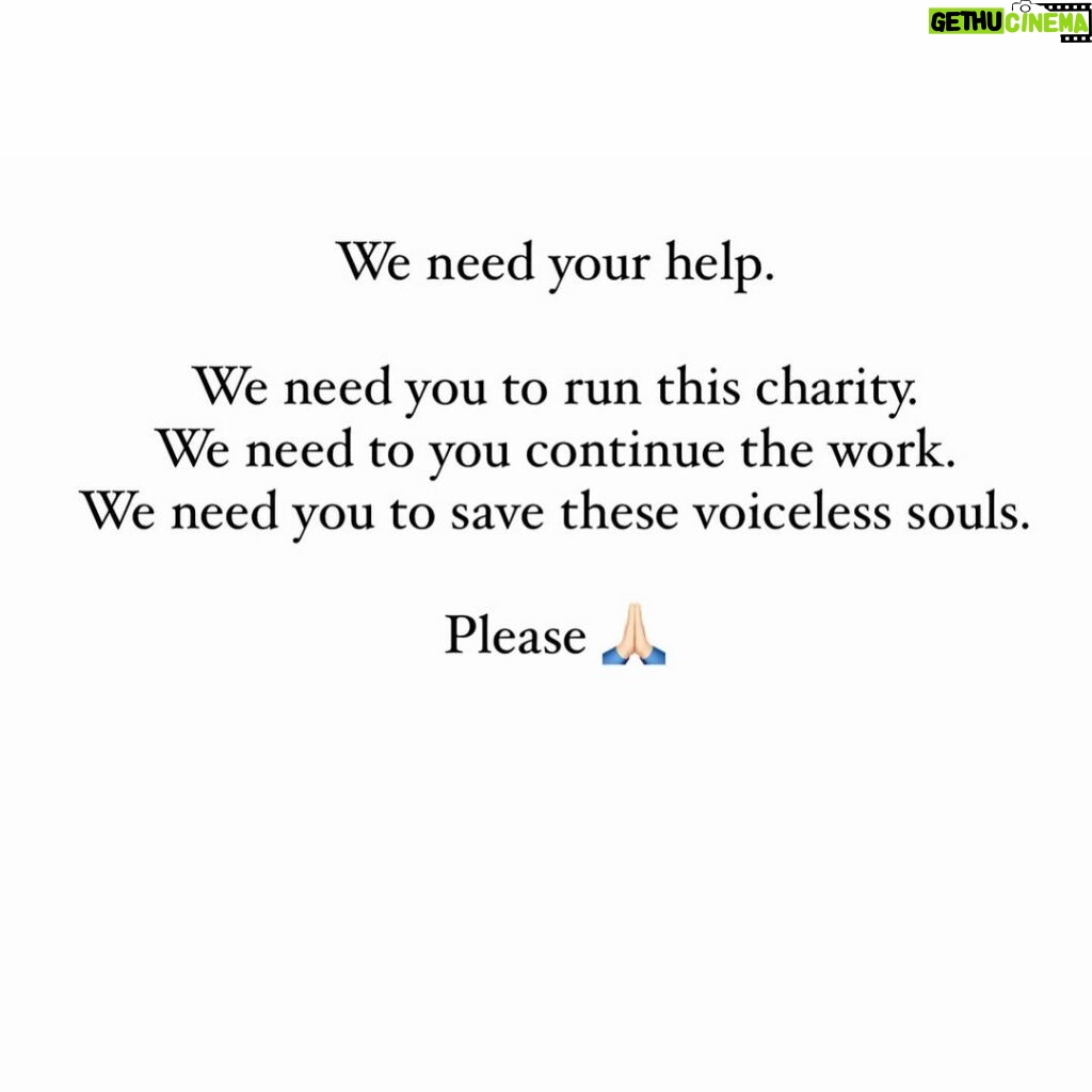 Swastika Mukherjee Instagram - Please Help us. We need you. Please help us. PAYTM/GPAY - 9868360385 Bank Account Details Name - Dulaar Amanat Foundation Account No. - 101888700000055 IFSC - YESB0001018 Your one share can literally help us a lot. Please 🙏🏻 Dwarka, Delhi