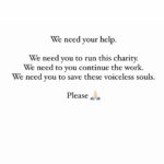 Swastika Mukherjee Instagram – Please Help us. 
We need you. Please help us.

PAYTM/GPAY – 9868360385

Bank Account Details
Name – Dulaar Amanat Foundation 
Account No. – 101888700000055
IFSC – YESB0001018

Your one share can literally help us a lot. Please 🙏🏻 Dwarka, Delhi