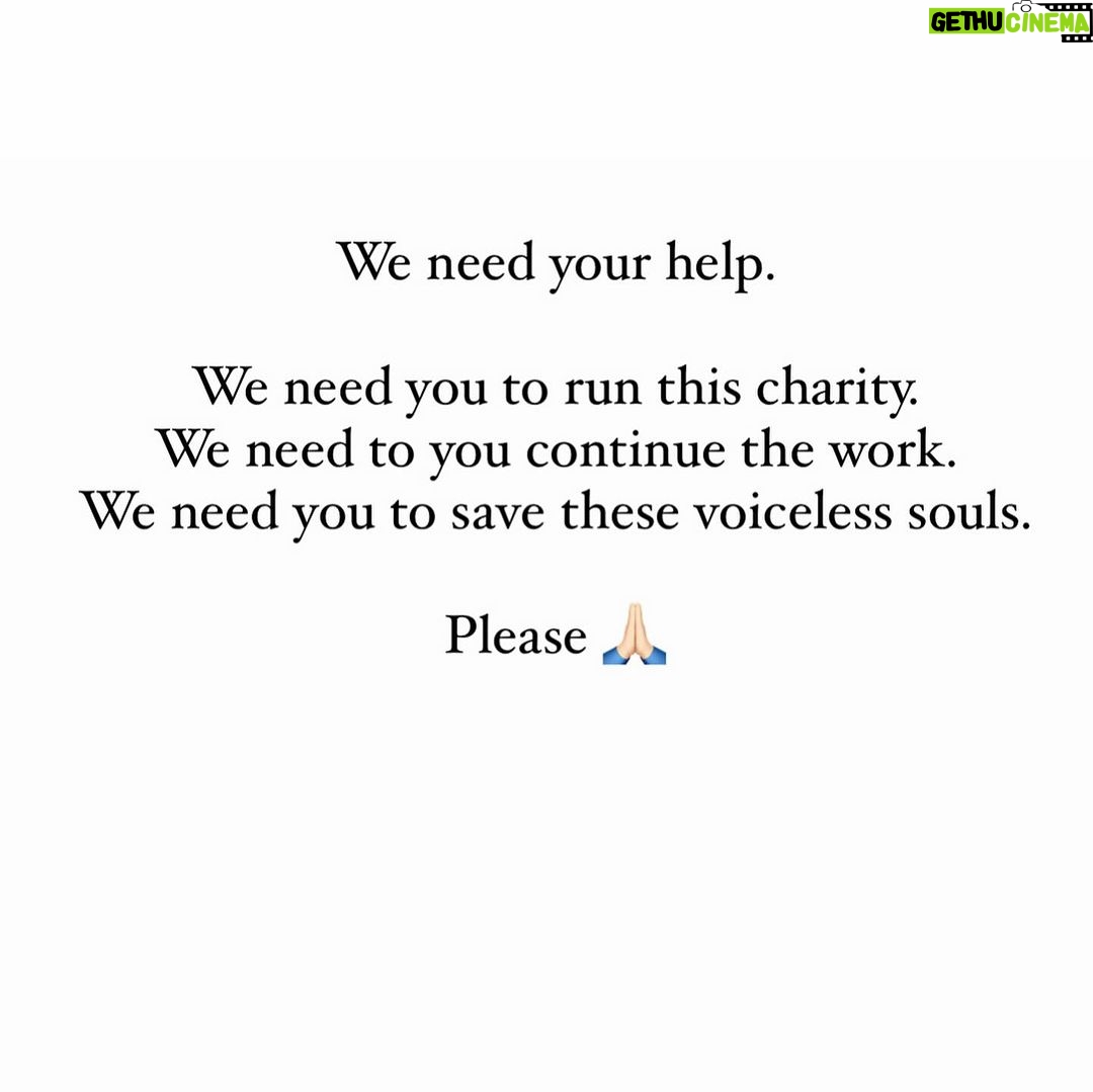 Swastika Mukherjee Instagram - Please Help us. We need you. Please help us. PAYTM/GPAY - 9868360385 Bank Account Details Name - Dulaar Amanat Foundation Account No. - 101888700000055 IFSC - YESB0001018 Your one share can literally help us a lot. Please 🙏🏻 Dwarka, Delhi
