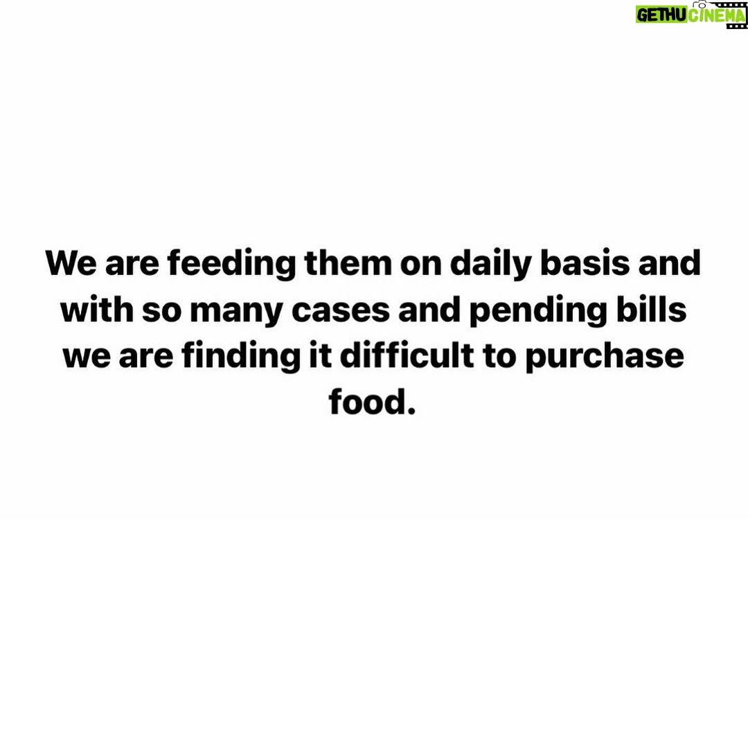 Swastika Mukherjee Instagram - Please help us with cat food. We have 25 cats under our care whom we feed daily and with ongoing activities itβs getting impossible for me to buy food and i cannot let them stay hungry. I need your help in buying dry as well as gravy food for them. You can even send the food directly to our address but please try to help us ππ» We need 30 kg of dry food (whiskas) and gravy food pouches for them ππ» Kindly come forward and help us. You can even send the food to us directly or can send any monetary help that you are ok with and you can even share this appeal so that more and more people can see and help us ππ» We need your help PAYTM/GPAY - 9868360385 Bank Account Details Name - Dulaar Amanat Foundation Account No. - 101888700000055 IFSC - YESB0001018 Delhi, India