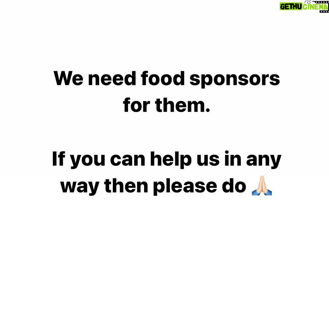 Swastika Mukherjee Instagram - Please help us with cat food. We have 25 cats under our care whom we feed daily and with ongoing activities itβs getting impossible for me to buy food and i cannot let them stay hungry. I need your help in buying dry as well as gravy food for them. You can even send the food directly to our address but please try to help us ππ» We need 30 kg of dry food (whiskas) and gravy food pouches for them ππ» Kindly come forward and help us. You can even send the food to us directly or can send any monetary help that you are ok with and you can even share this appeal so that more and more people can see and help us ππ» We need your help PAYTM/GPAY - 9868360385 Bank Account Details Name - Dulaar Amanat Foundation Account No. - 101888700000055 IFSC - YESB0001018 Delhi, India