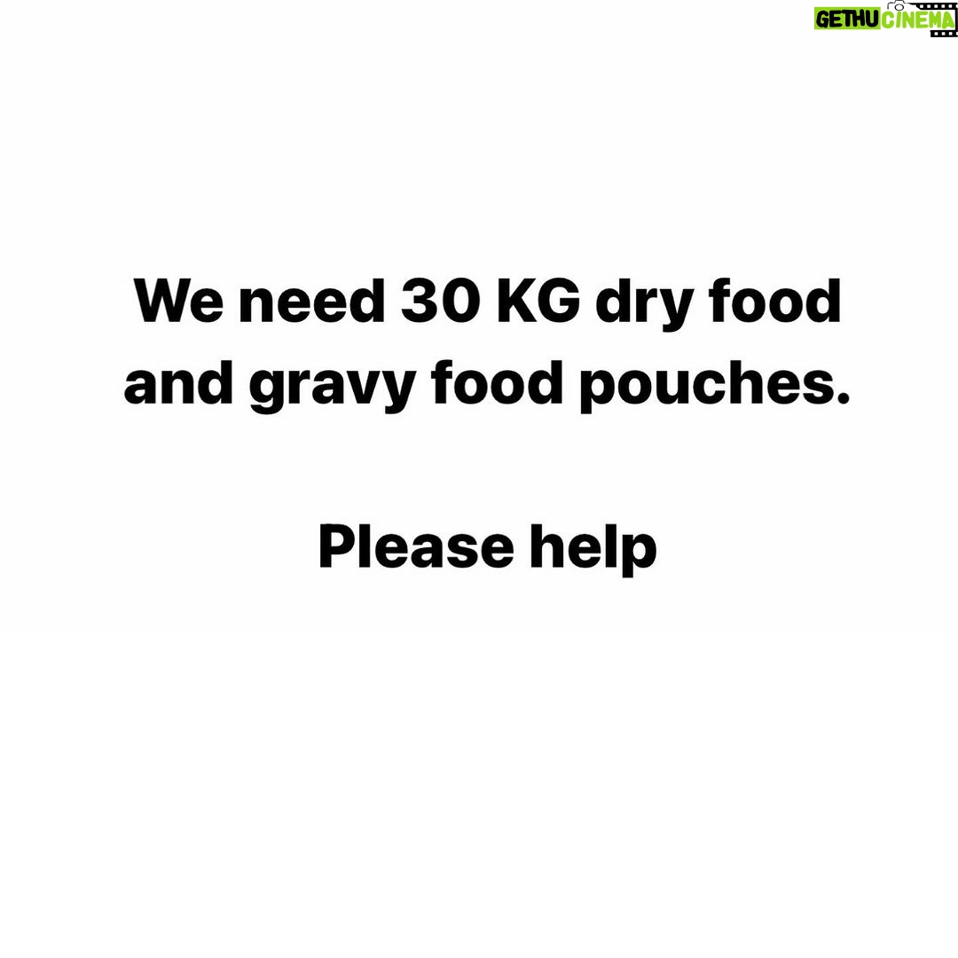 Swastika Mukherjee Instagram - Please help us with cat food. We have 25 cats under our care whom we feed daily and with ongoing activities itβs getting impossible for me to buy food and i cannot let them stay hungry. I need your help in buying dry as well as gravy food for them. You can even send the food directly to our address but please try to help us ππ» We need 30 kg of dry food (whiskas) and gravy food pouches for them ππ» Kindly come forward and help us. You can even send the food to us directly or can send any monetary help that you are ok with and you can even share this appeal so that more and more people can see and help us ππ» We need your help PAYTM/GPAY - 9868360385 Bank Account Details Name - Dulaar Amanat Foundation Account No. - 101888700000055 IFSC - YESB0001018 Delhi, India