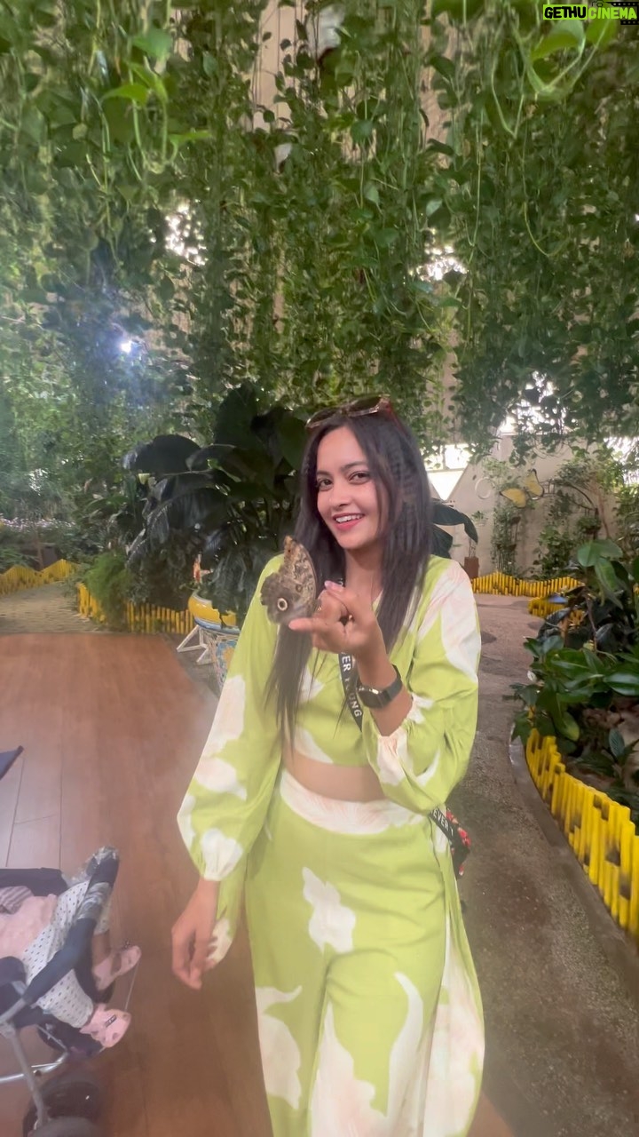 Tamanna Vyas Instagram - #ButterflyGoals 🦋 🦋 #dubai #butterflygarden #butterfly #colourfulbutterfly #butterflies #colours #dubailife #dubai🇦🇪 #dubaitravel #travelblogger #destination #fun #reels #travelreels #travelgram #reelsviral #tamanna #tamannavyas Dubai Butterfly Garden