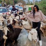 Tassnim Sheikh Instagram - Happiness❤️ #traveldiaries