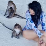 Tassnim Sheikh Instagram - Just Monkeying around 💗🐒 #traveldiaries #familyvacation #monkey #2023