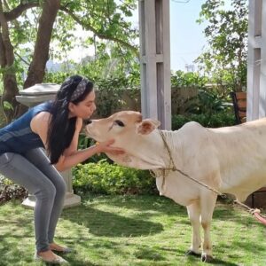 Tassnim Sheikh Instagram - Love love love...
That's Nandini ❤️
#petcow #petcowsofinstagram #imemyself