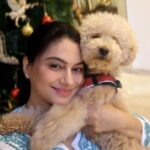 Tassnim Sheikh Instagram - My baccha❤️@cuddles_nerurkarr #imemyself #mypet #poodle #toypoodle