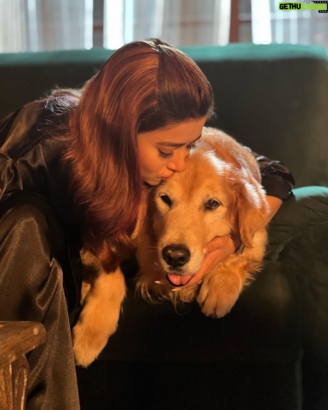 Tina Datta Instagram - Happy Birthday my sunshine!! ❤️ No matter what, you’re always there for me, by my side, loving and caring for me. The apple of my eye… LOVEEEEE @brunoranidatta . . . #happybirthday #birthdayboy #birthdayvibes #dogsofinstagram #tinadatta