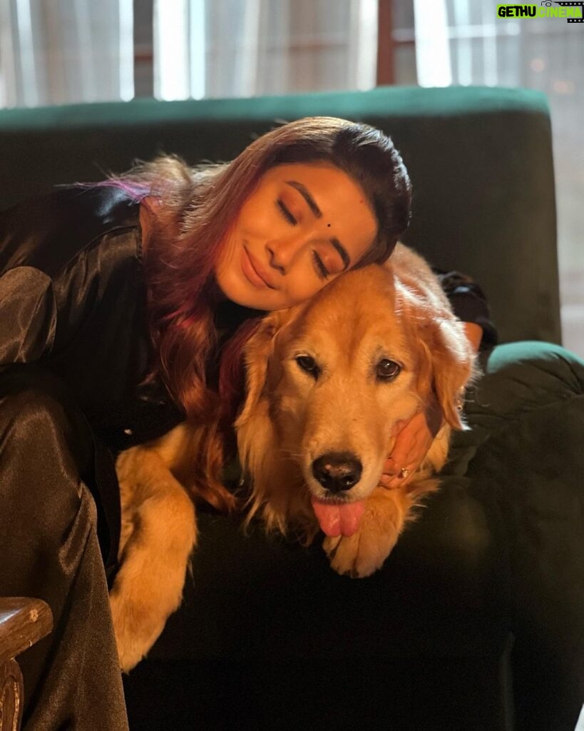 Tina Datta Instagram - Happy Birthday my sunshine!! ❤️ No matter what, you’re always there for me, by my side, loving and caring for me. The apple of my eye… LOVEEEEE @brunoranidatta . . . #happybirthday #birthdayboy #birthdayvibes #dogsofinstagram #tinadatta