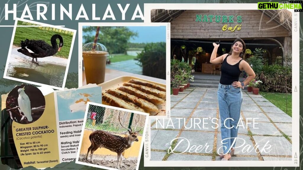 Tiyasha Lepcha Instagram - A Must place to visit in Kolkata | HARINALAYA | Nature’s Cafe | New Vlog Click on the below link now & Subscribe to my channel - https://youtu.be/azy8lkpKh9I