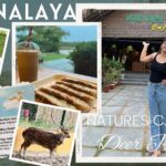 Tiyasha Lepcha Instagram - A Must place to visit in Kolkata | HARINALAYA | Nature’s Cafe | New Vlog Click on the below link now & Subscribe to my channel - https://youtu.be/azy8lkpKh9I