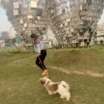 Tiyasha Lepcha Instagram - A well spent day out with my Angel and my one and only ♥️ #Tojo #reelsinstagram #reels #reelsindia #shitzu #shitzulove #newtownkolkata #reelkarofeelkaro #biswabanglagate New Town,Kolkata
