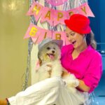 Tonni Laha Roy Instagram - 💕Happy BarkDay Cuppy🐾 😁 #cuppy #bishonfrise #loveyou #pet #dog #instagood #instadaily #instamood #photography #photooftheday